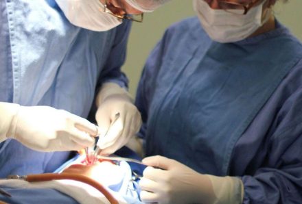 Fissura labiopalatina demanda tratamento precoce e multidisciplinar